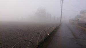 濃霧  2019/2/7