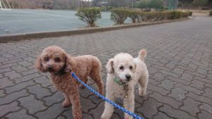 夜のお時間 2019/2/7