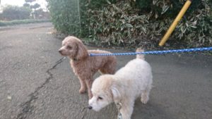 朝のお時間 2019/2/8