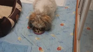 お昼のお時間 2019