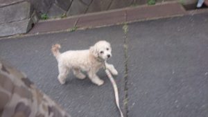 夜のお時間 2019/2/8