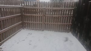 これは結構 2019/2/9