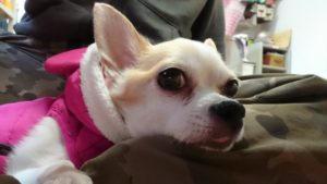 お昼のお時間 2019/2/10