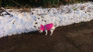 夜のお時間 2019/2/10