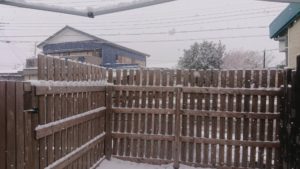 今日も雪 2019/2/11