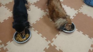 朝のお時間 2019/2/13