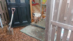 まった～りと 2019/2/13