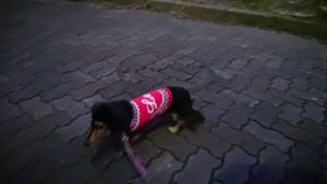 夜のお時間 2019/2/13