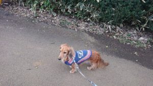 朝のお時間 2019/2/14