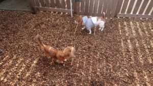 とりあえず 2019/2/14