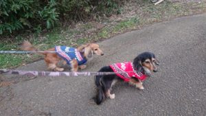 朝のお時間 2019/2/15