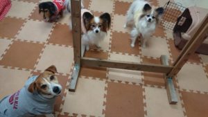 お昼のお時間 2019/2/15