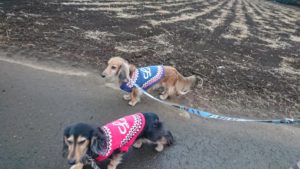 夜のお時間 2019/2/15