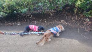 朝のお時間 2019/2/16