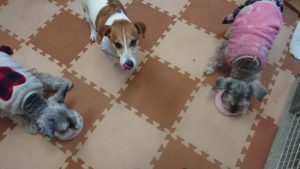 お昼のお時間 2019/2/16