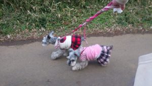 朝のお時間 2019/2/17