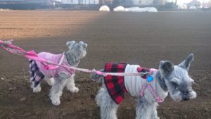 夜のお時間 2019/2/17