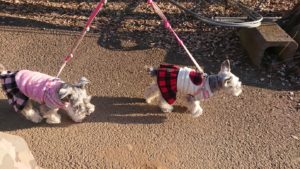 朝のお時間 2019/2/18