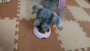 お昼のお時間 2019/2/18