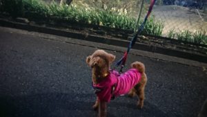 夜のお時間 2019/2/18