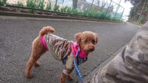 朝のお時間 2019/2/19