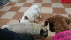 お昼のお時間 2019/2/19