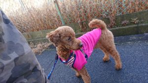 朝のお時間 2019/2/20