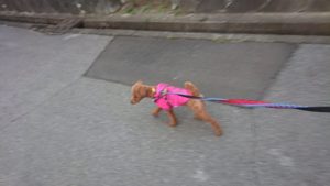 夜のお時間 2019/2/20