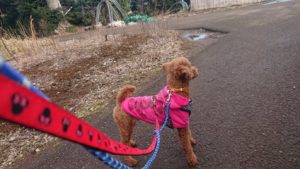 朝のお時間 2019/2/21