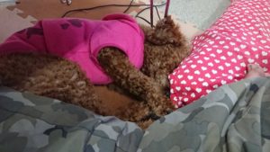 お昼ですよ 2019/2/21