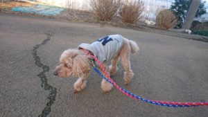 夜のお時間 2019/2/21