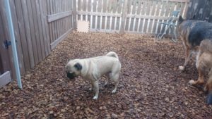 朝のお時間 2019/2/22