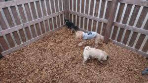 お昼のお時間 2019/2/22