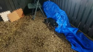 夜のお時間 2019/2/22