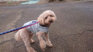 朝のお時間 2019/2/23