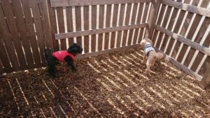 お昼のお時間 2019/2/23