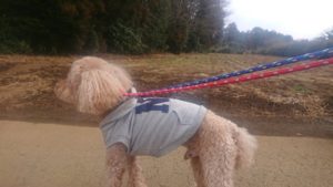 食べないと！ 2019/2/23