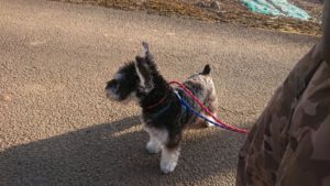 朝のお時間 2019/2/24