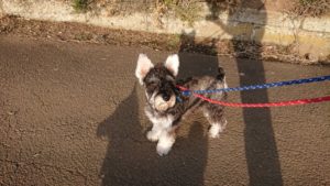 夜のお時間 2019/2/24