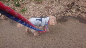 朝のお時間 2019/2/2