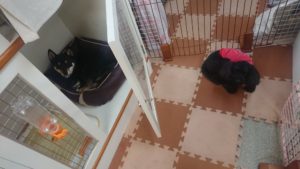 お昼のお時間 2019/2/25