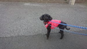 夜のお時間 2019/2/25