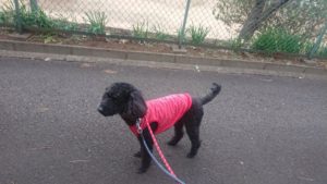 朝のお時間 2019/2/26