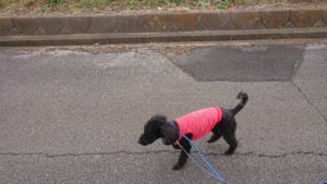 朝のお時間 2019/2/27