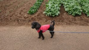 夜のお時間 2019/2/27