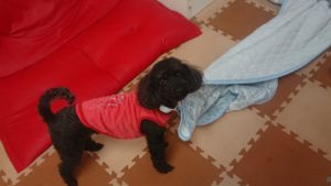 お昼のお時間 2019/2/28