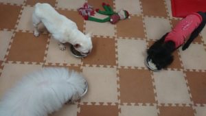 夜のお時間 2019/2/28