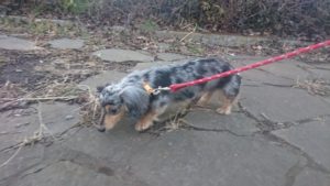 夜のお時間 2019/2/2