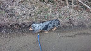 朝ですよ 2019/2/3