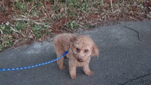 夜のお時間 2019/2/4